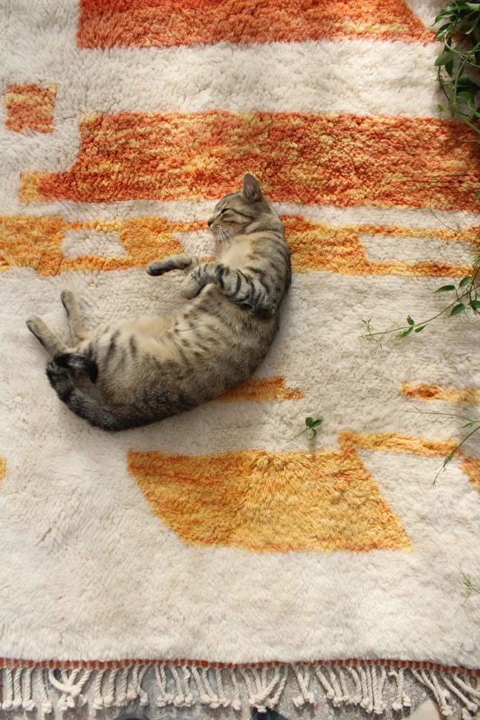 moroccan rugs